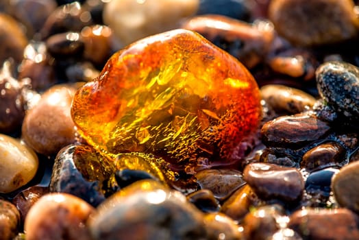 Amber on a beach of the Baltic Sea.