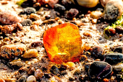 Amber on a beach of the Baltic Sea.