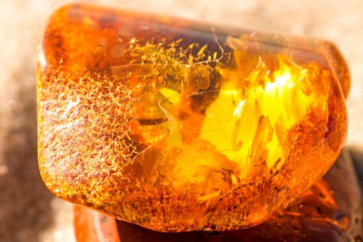 Amber on a beach of the Baltic Sea.