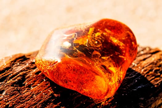 Amber on a beach of the Baltic Sea.