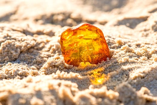 Amber in sun on a beach of the Baltic sea.