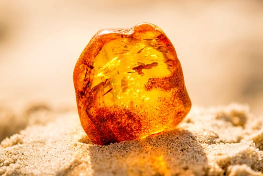 Amber in sun on a beach of the Baltic sea.