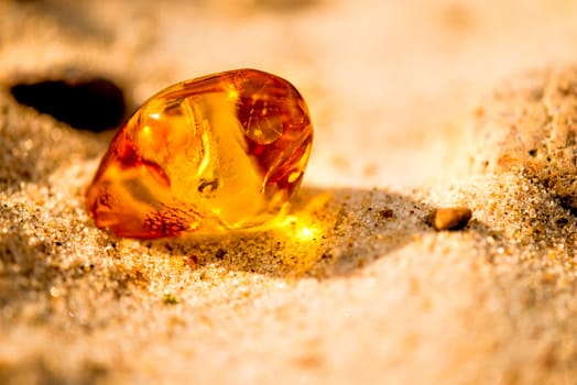 Amber in sun on a beach of the Baltic sea.