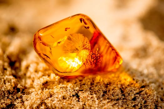 Amber in sun on a beach of the Baltic sea.