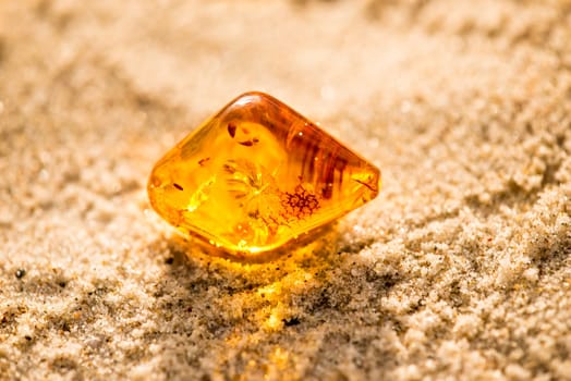 Amber in sun on a beach of the Baltic sea.