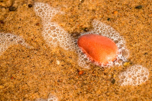 pebble stone on a beach