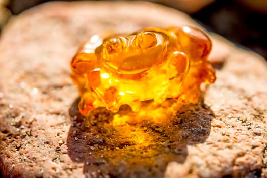 Amber frog on a beach of the Baltic Sea.