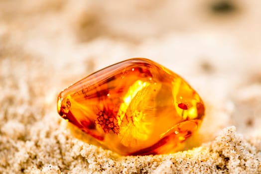 Amber in sun on a beach of the Baltic sea.