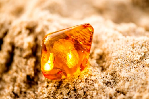 Amber in sun on a beach of the Baltic sea.