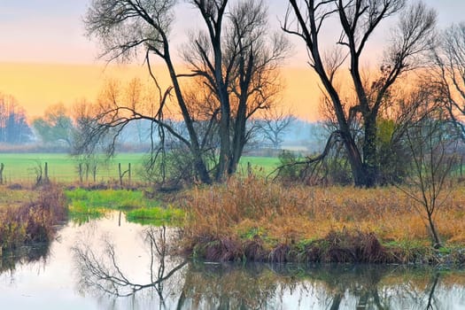 small Spree Forest in fall, Brandenburg