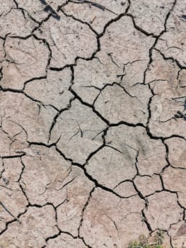 Dried-out soil in a field during a Period of drought