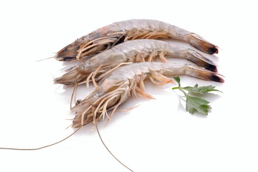 Prawns shrimps crustacean seafood white isolated