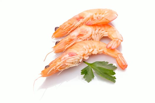 Crevettes prawns orange white isolated