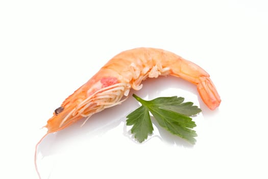 Prawns crevettes orange white isolated