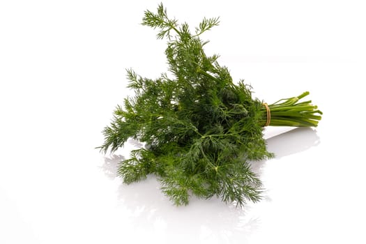 Green Dill herb bundle white isolated