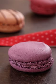 Violett sweet macaron in vertical format