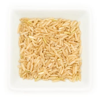 Whole grrain rice in a white bowl in top view