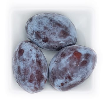 Blue ripe plums in a white bowl in top view
