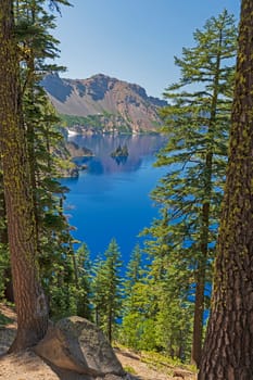 Phantom Ship Island Framed by Pines in Crater Lake National Park in Oregon
