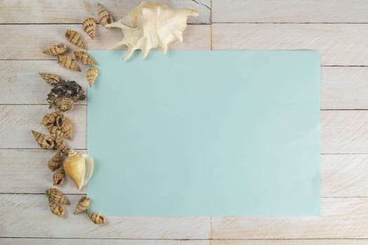 Sea shell on a blue paper background on white wooden table. Vacation concept. Top views with clear space.