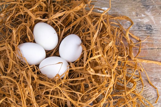 White ggs stand in a nest of dry grass beside blue feathers.