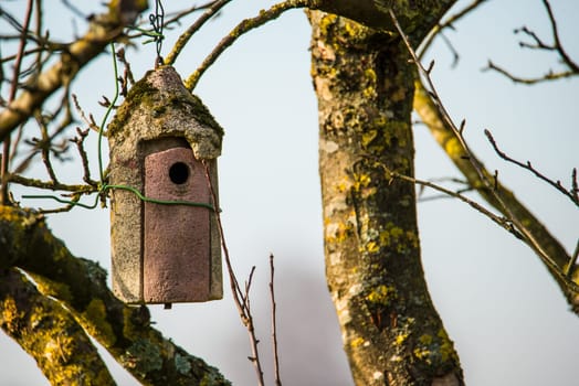 a birdhouse in a tree in winter