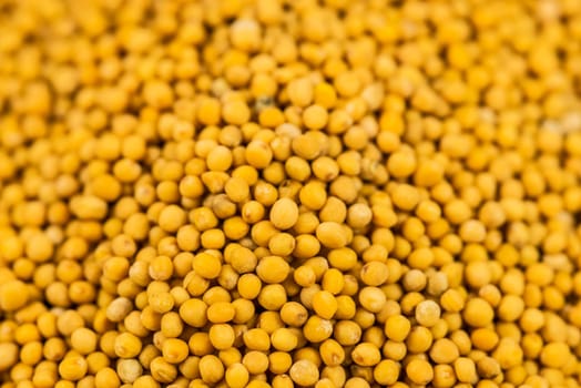 mustard seeds in a macro
