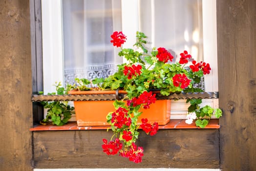 Window with pretty flower arrangement