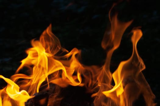 blaze fire flame texture background. A blurry photo of a fireundefined