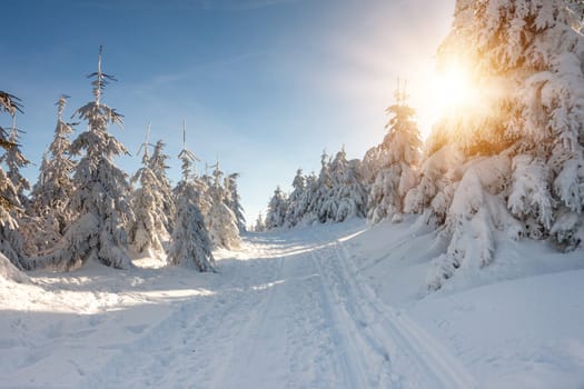 Czech Republic - Liberec - Beautiful Snowy way with sun. High quality photo