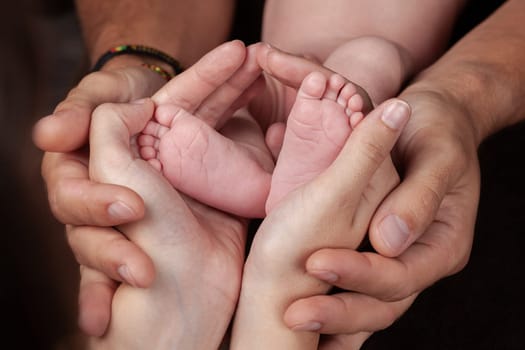 A close-up of tiny baby feet. High quality photo