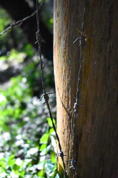 Barbed wire next to a wooden post outdoors