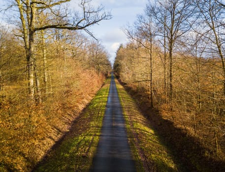 Aerial view of straight and narrow road in Amboise forest, France. Winter season.