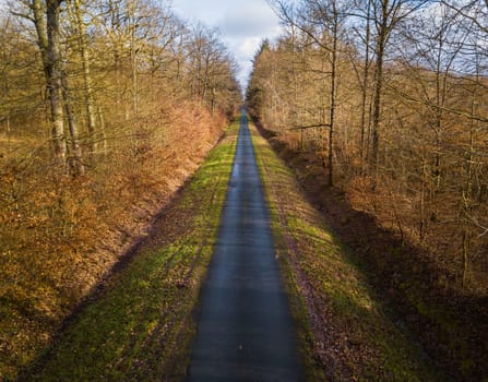 Aerial view of straight and narrow road in Amboise forest, France. Winter season.