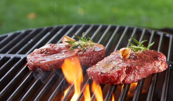 Two juicy slices of tender raw rump or fillet beef steak seasoned with herbs and spices grilling outdoors over a barbecue with green lawn backdrop