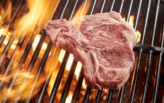 Raw bone-in pork steak grilling on a BBQ fire in a close up on the grid over the flaming coals