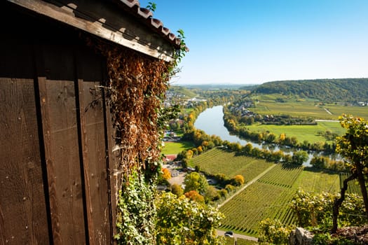 Hut in vineyard with view on river Neckar loop
