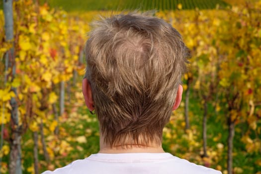 Woman is looking at a vineyard in autumn colours