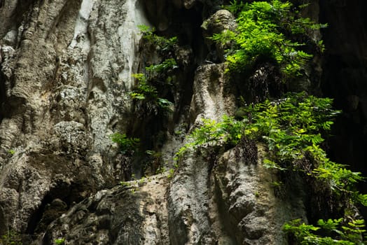 View in the Batu Caves, Kuala Lumpur, Malaysia.