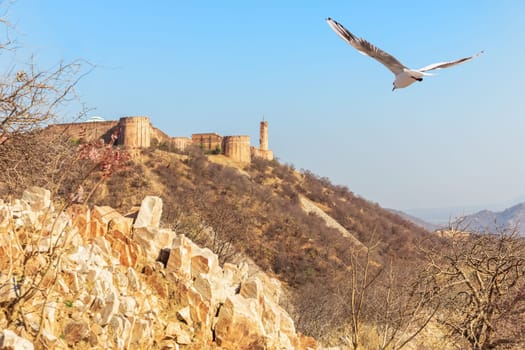 Mountains in Jaipur and Jaigarh Fort,  India.