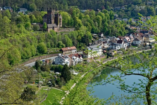 Neckarsteinach