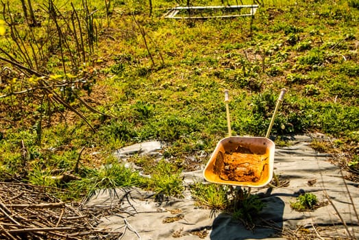 overgrown cottage garden with rusty wheelbarrow