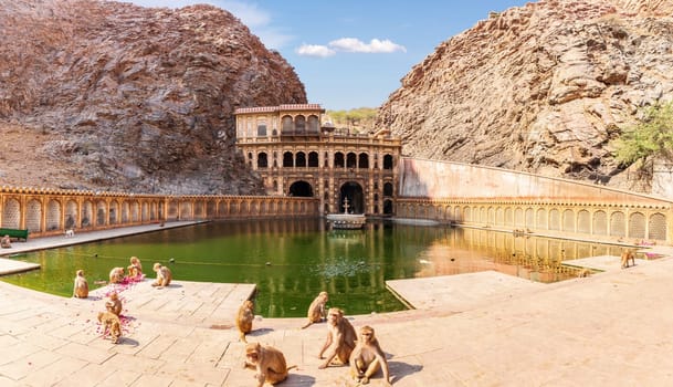 Monkey Temple and playing monkeys near the pool, Jaipur, India.
