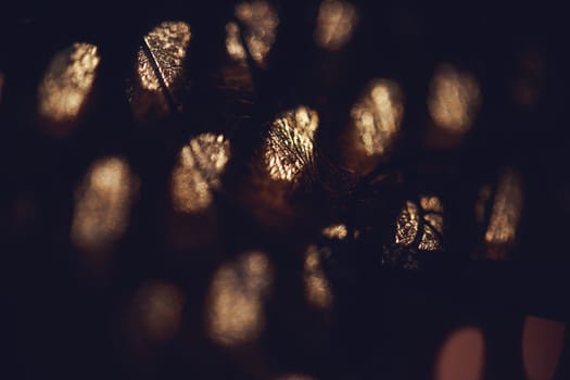 Light draws circles