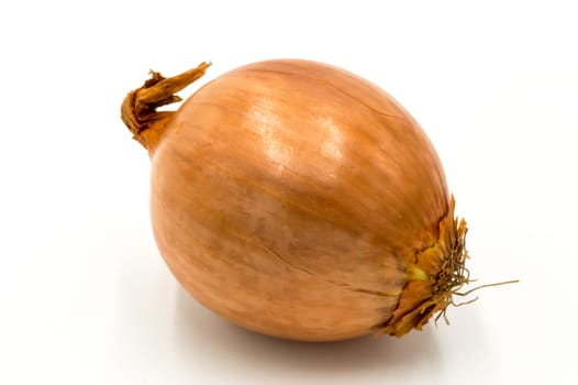 Fresh yellow onion isolated on white background