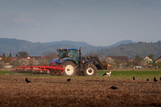 agriculture in spring
