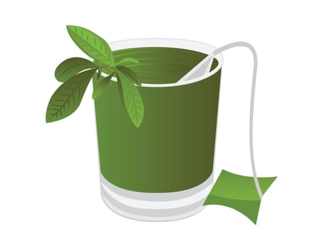 A glass of tea and a tea brunch leaves vector illustration on a white background isolated