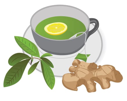 A cup of green tea with ginger and lemon, a tea brunch leaves vector illustration on a white background