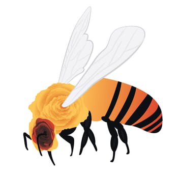 A bee vector illustration on a white background isolated