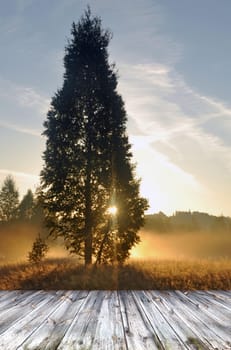wood terrace and perspective view on sunrise